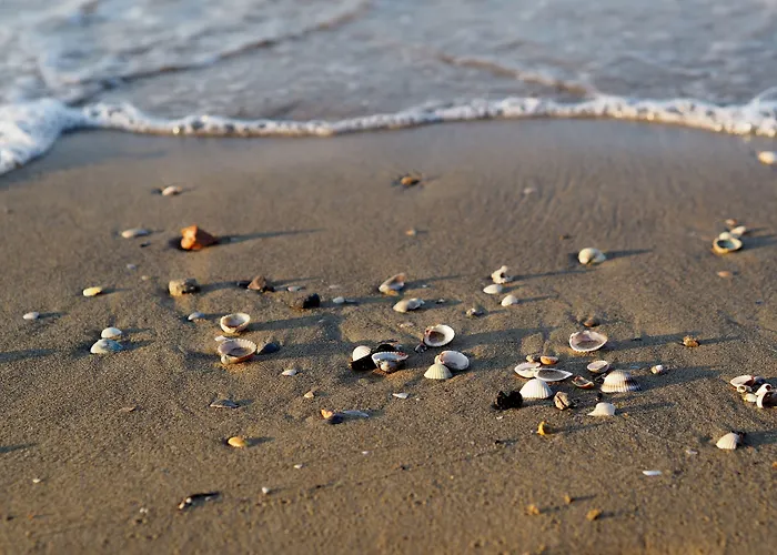 Relax During Your In Our 아파트 *