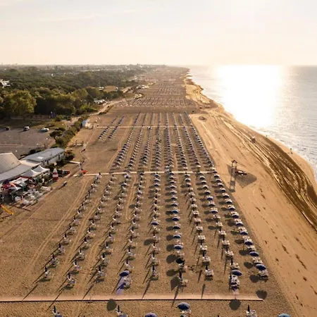 Relax During Your In Our * ביביונה